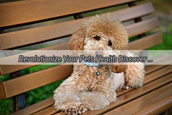 Revolutionize Your Pets Health Discover the Ultimate Guide to Removing a Stuck Paw Picking with Needles